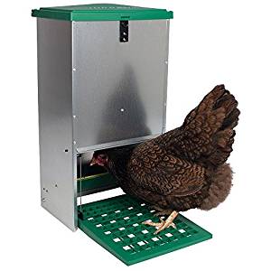 Futterautomat für Hühner, verzinktes Stahlgehäuse